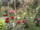 Photo3062