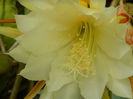DSCN8308