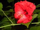 DSCN8313