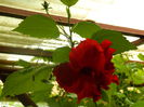 DSCN8316
