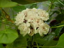 DSCN8317