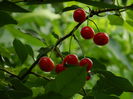 DSCN8326