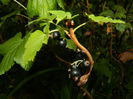 DSCN8337