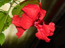 DSCN8356