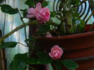 DSCN8365