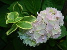 DSCN8375