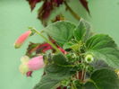 DSCN8378