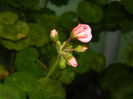 DSCN8389