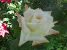 DSCN6475