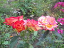 DSCN6478