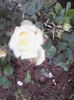 IMG_20140616_154504