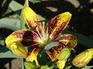 DSC05050