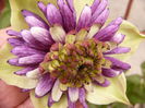 P1220506