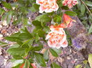 P1220514