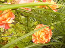 P1220529