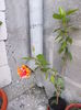 DSCN0817