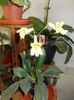 DSCN0821