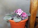 DSCN0824