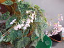 DSCN0828