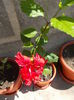 DSCN0842