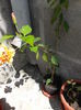DSCN0843
