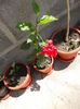 DSCN0844