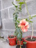 DSCN0846