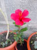 DSCN0850