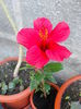 DSCN0852