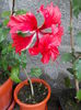 DSCN0855