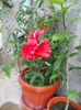 DSCN0856