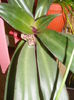DSCF0649