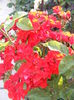 DSCF0578