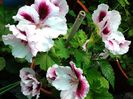 20140617_105028