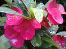 20140616_090452