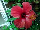 20140617_104758