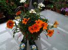proaspat sosite:-):-)de la piata:-):-)