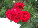 DSCF9920