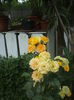 DSCF9924