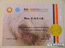 DIPLOMA EURODOG