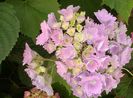 20140616_114857