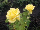 DSCF2739