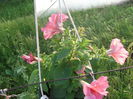 DSCF2743