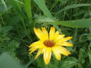 DSCF2746