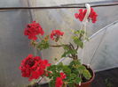 DSCF2756
