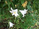 DSCF2757
