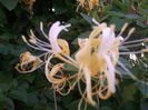 DSCF2758