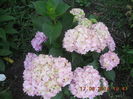 DSCN3137