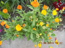 DSCN3134
