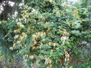 DSCN3140